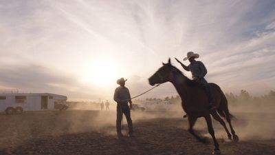 The Cowboy Poster Landscape Image