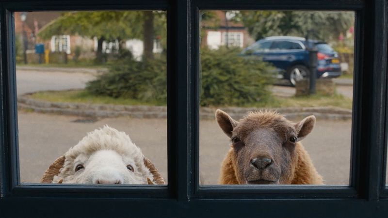 The Sheep Detectives Poster Landscape Image