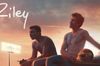 Riley in English at cinemas in Munich