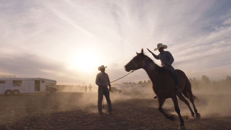 The Cowboy Poster Landscape Image